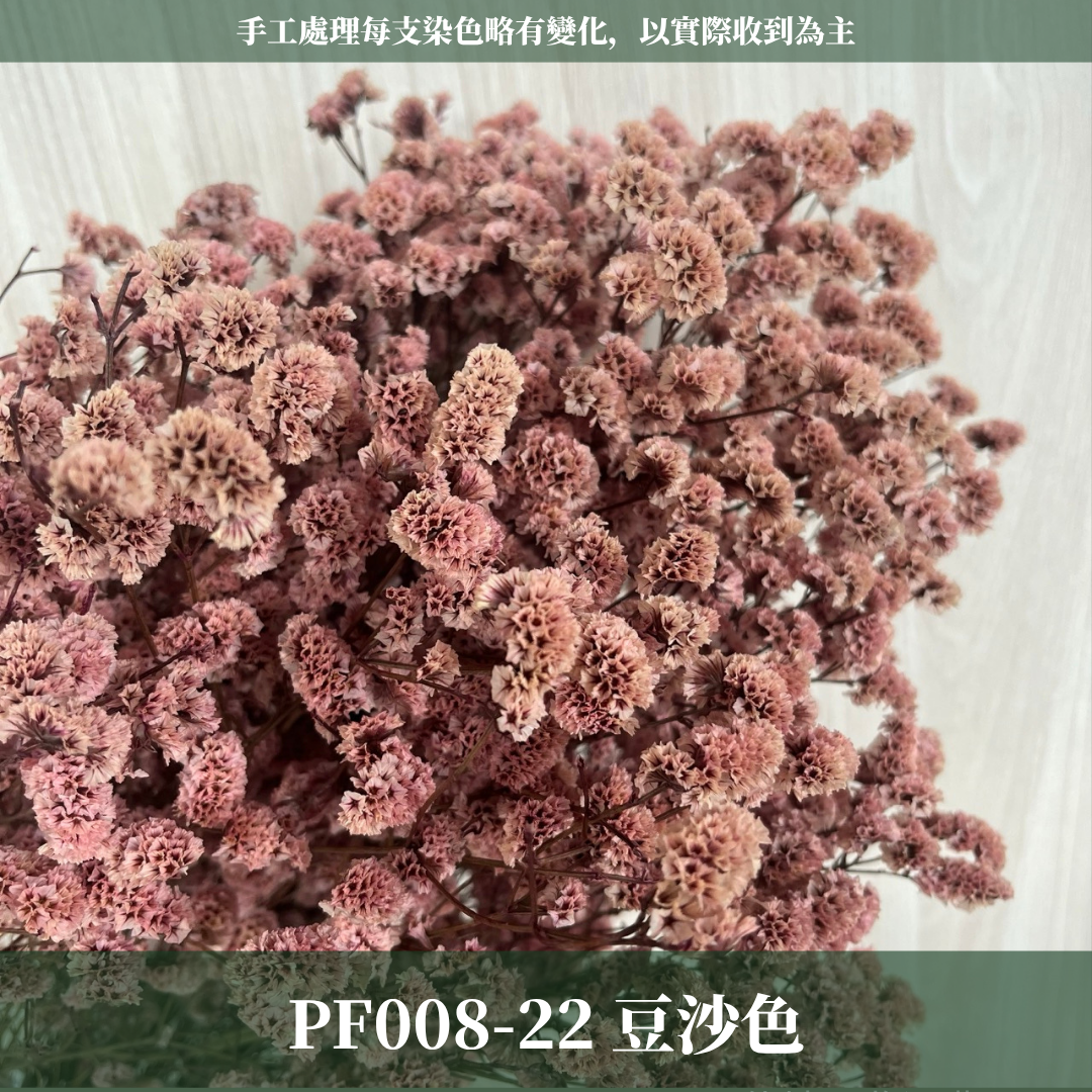 PF008水晶花 原裝 台灣現貨