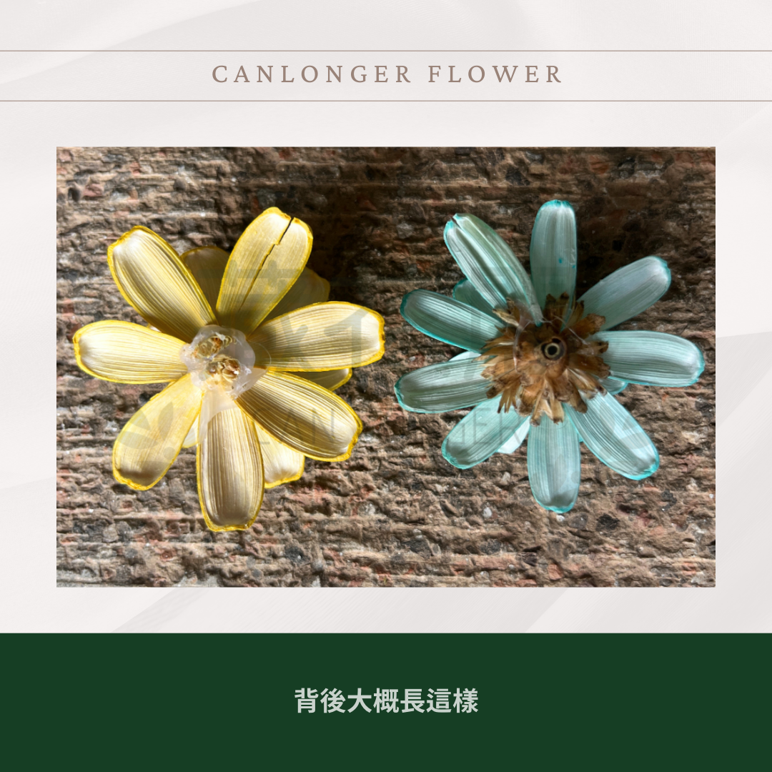 SH52S 瓜子花花頭 單朵 台灣現貨
