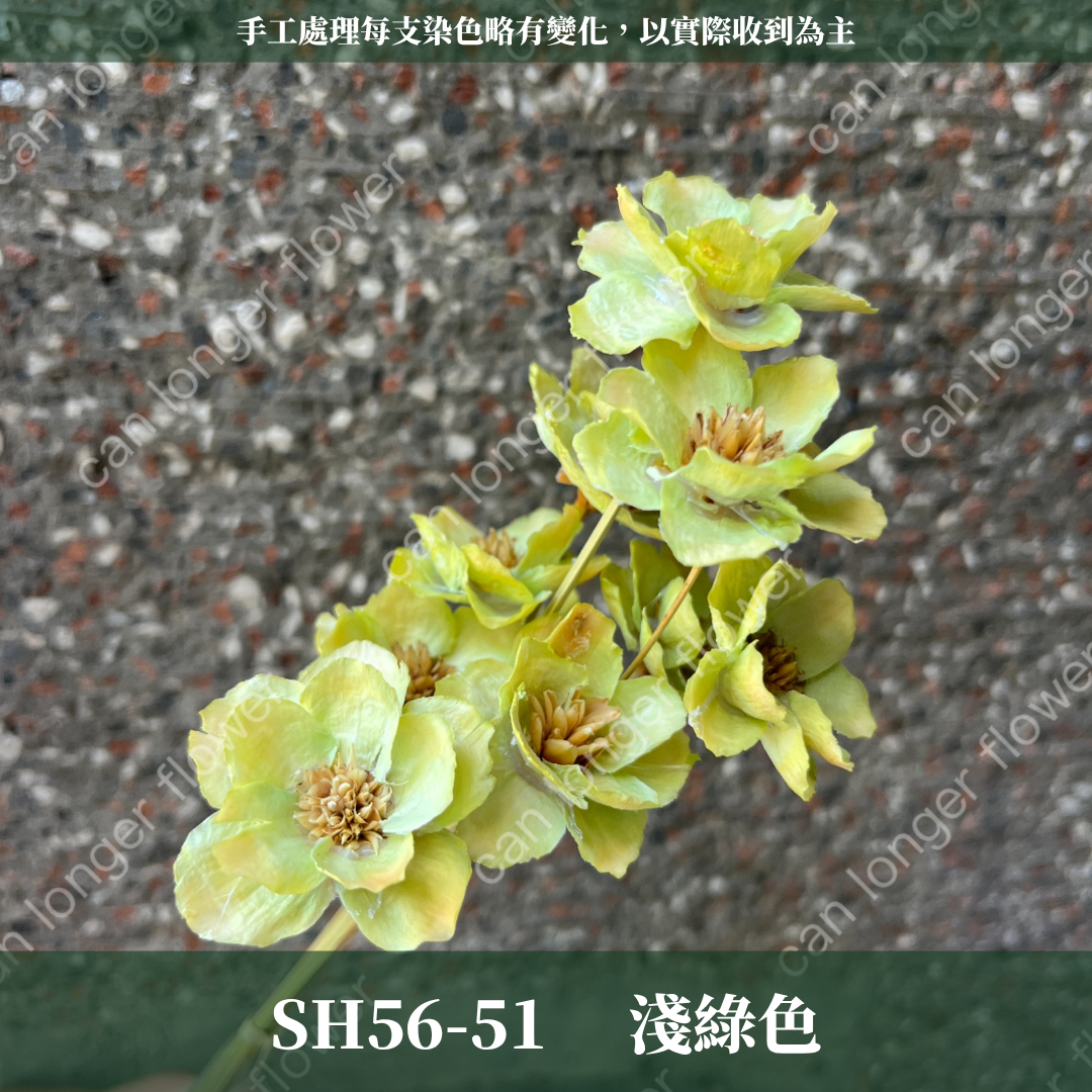 ✿ 台灣現貨 ✿ SH56 銀連花 原裝 10支裝 手工花