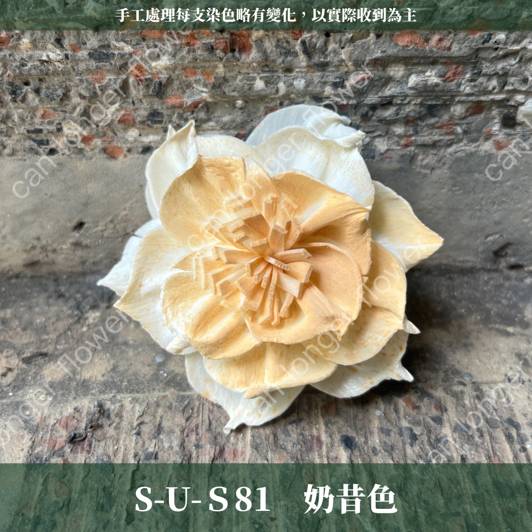✿ 台灣現貨 ✿ S-U 索拉花 6CM 通草花 擴香花