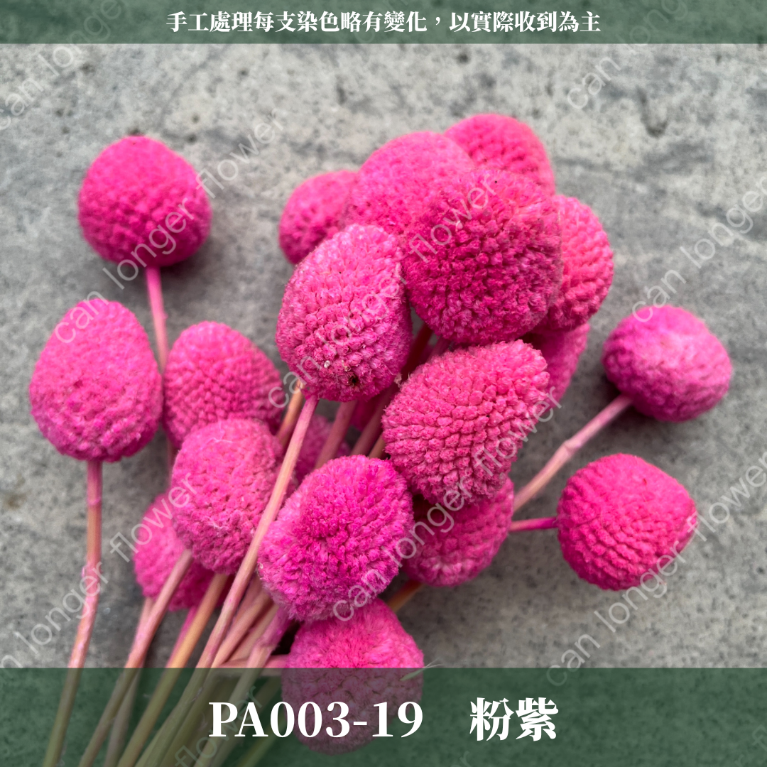 ✿ 台灣現貨 ✿ PA003 金杖球