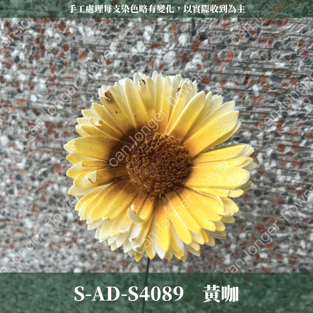 ✿ 台灣現貨 ✿ S-AD 索拉花 8CM 通草花 擴香花 向日葵 太陽花 太陽菊