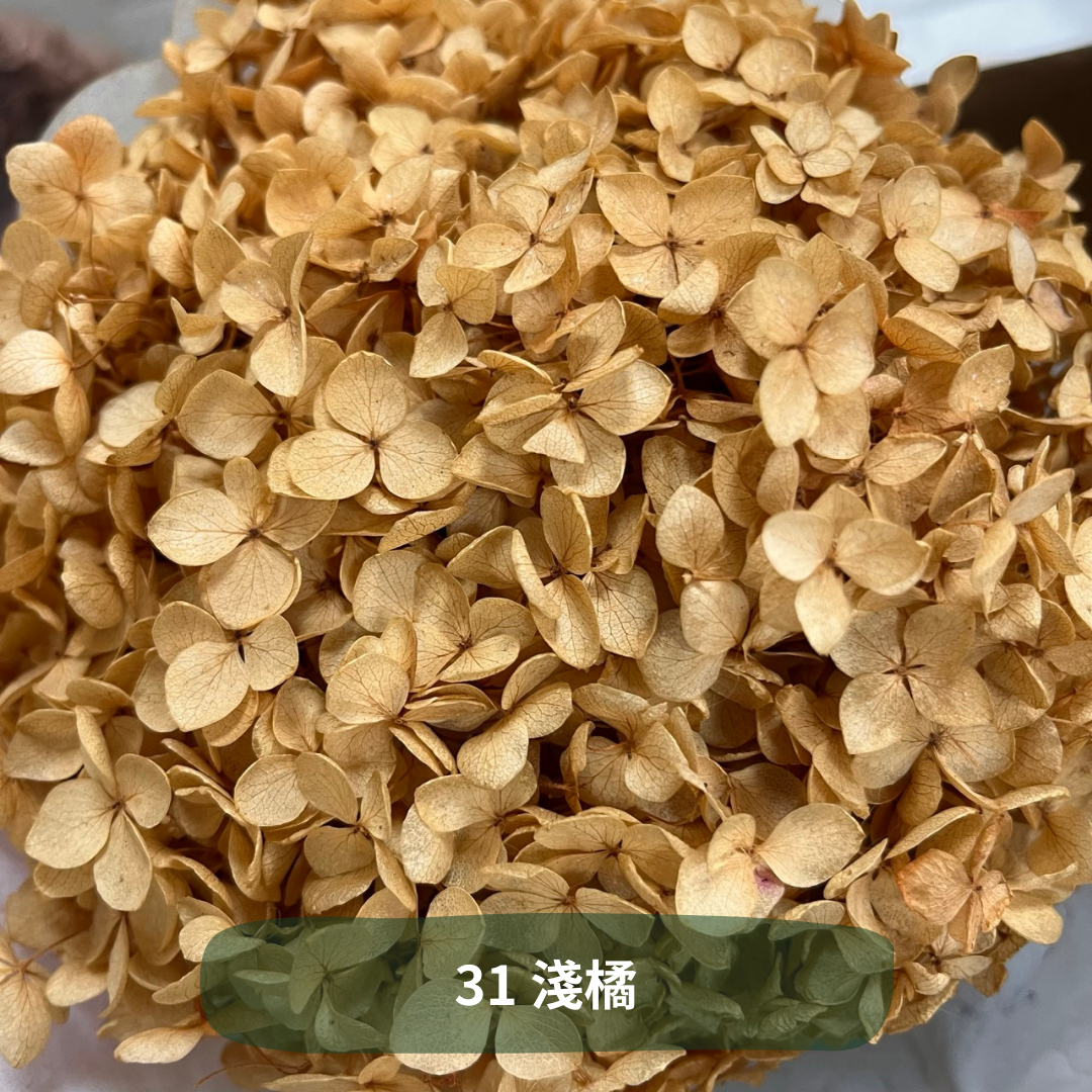 ✿ 台灣現貨 ✿ PF005 安娜繡球 單支 繡球花 繡球 紫陽花