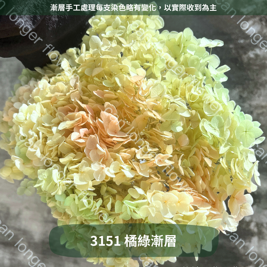 ✿ 台灣現貨 ✿ PF005 安娜繡球 單支 繡球花 繡球 紫陽花
