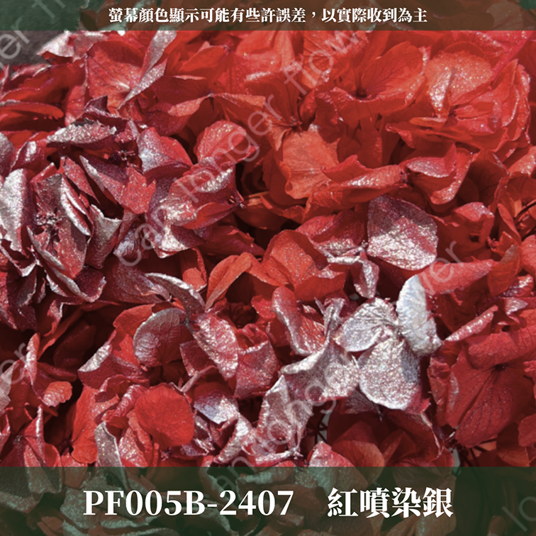 PF005B 大葉繡球 台灣現貨 繡球花 紫陽花 永生繡球 乾燥繡球