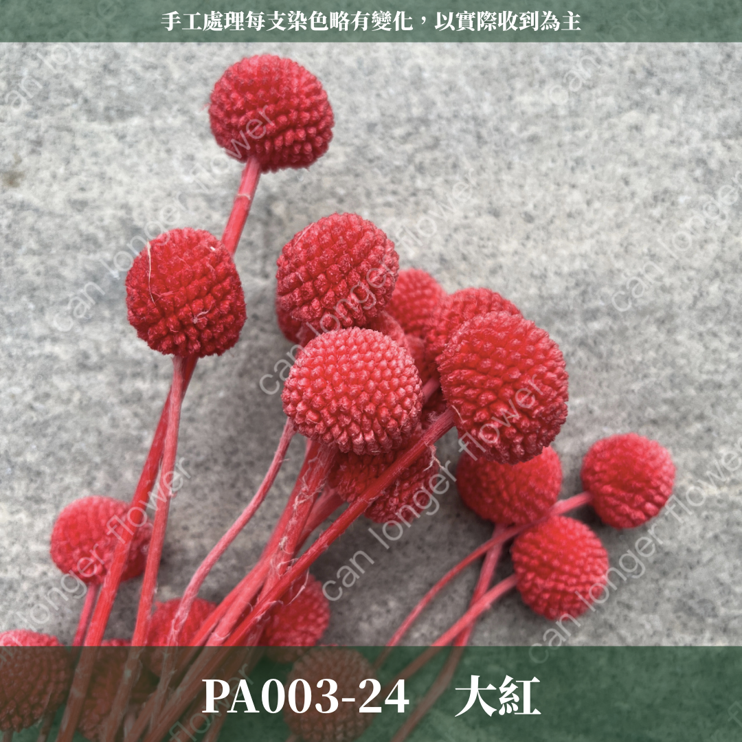 ✿ 台灣現貨 ✿ PA003 金杖球