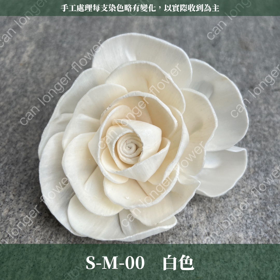 S-M 索拉花 8CM 通草花 擴香花 天使玫瑰 玫瑰 薔薇