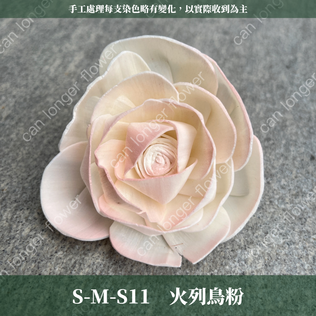 S-M 索拉花 8CM 通草花 擴香花 天使玫瑰 玫瑰 薔薇