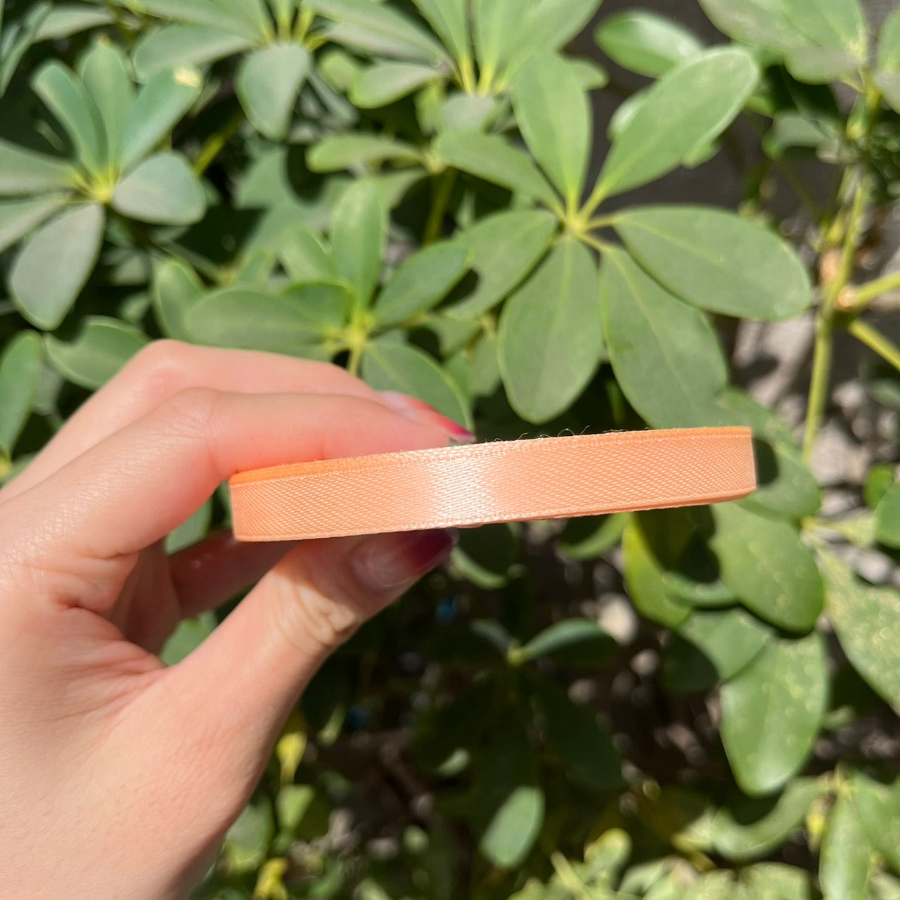 EP207細版緞帶1cm