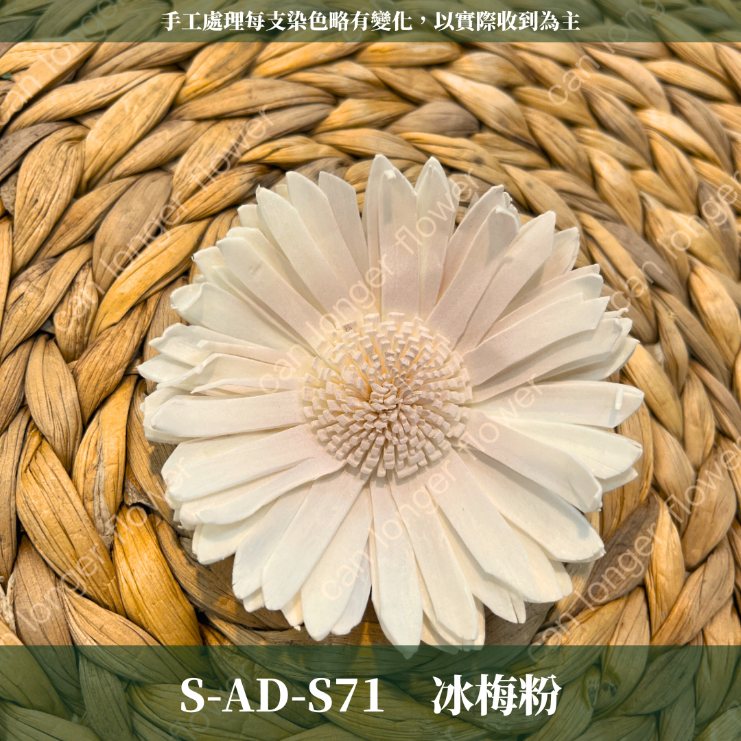 ✿ 台灣現貨 ✿ S-AD 索拉花 8CM 通草花 擴香花 向日葵 太陽花 太陽菊