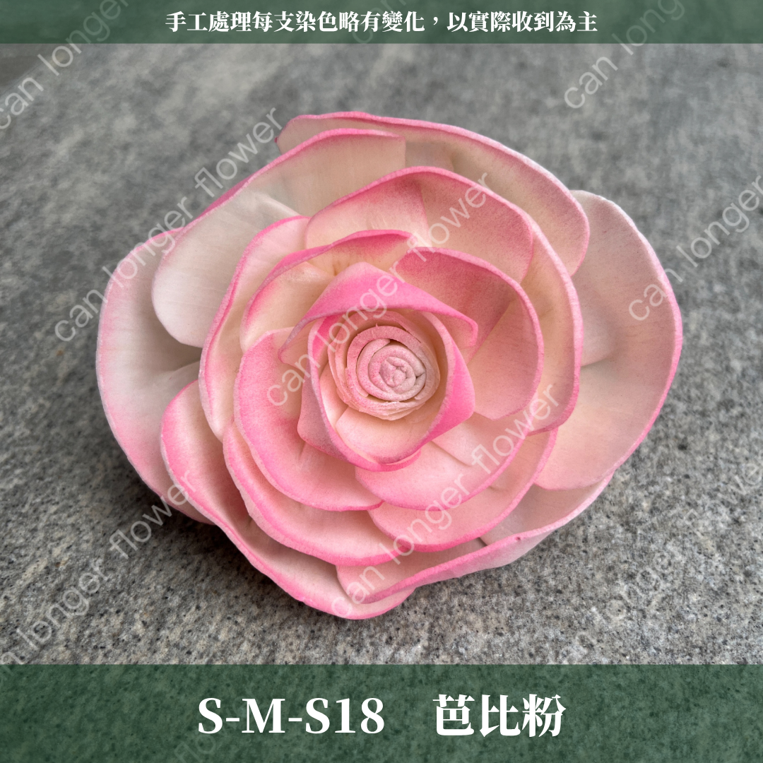 S-M 索拉花 8CM 通草花 擴香花 天使玫瑰 玫瑰 薔薇