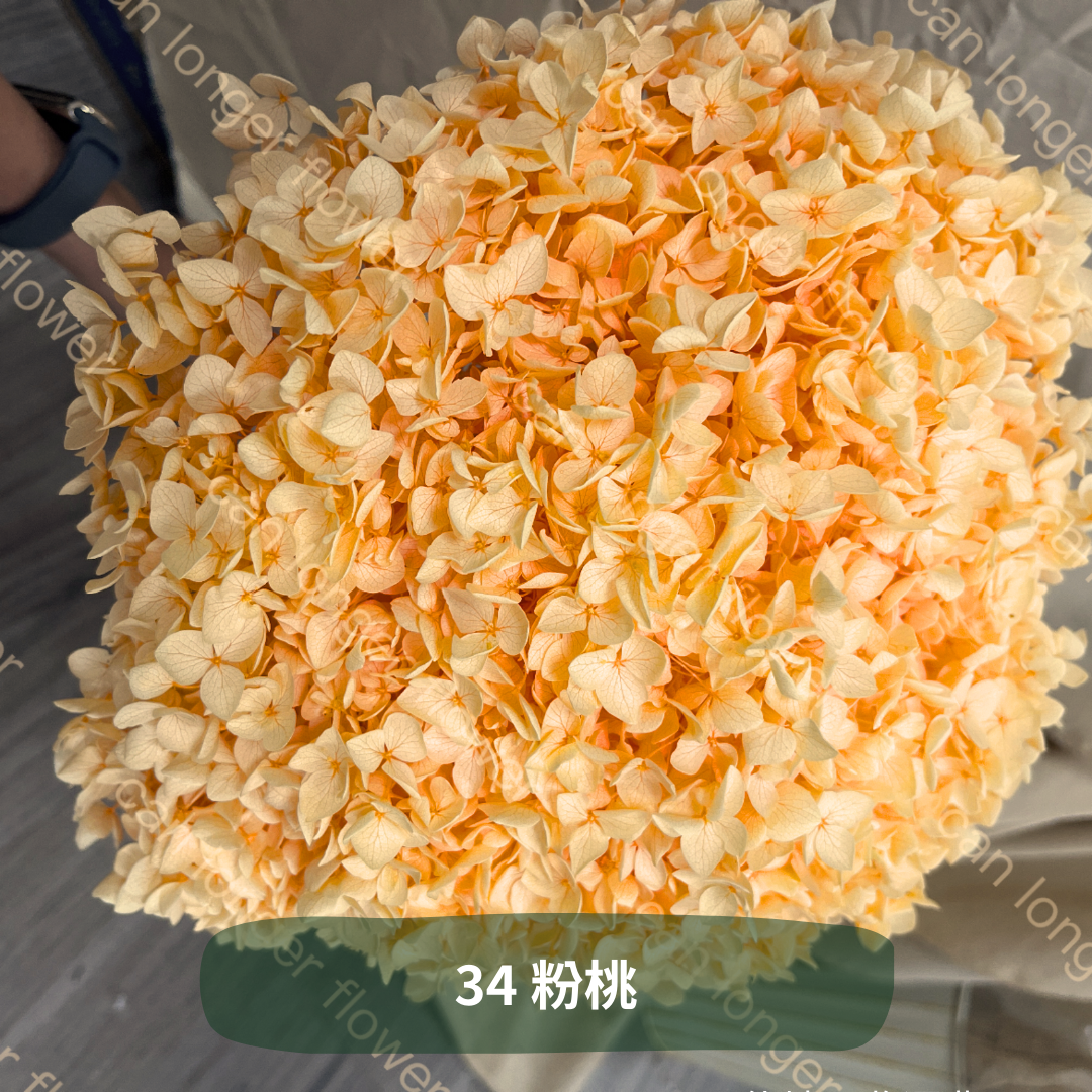 ✿ 台灣現貨 ✿ PF005 安娜繡球 單支 繡球花 繡球 紫陽花