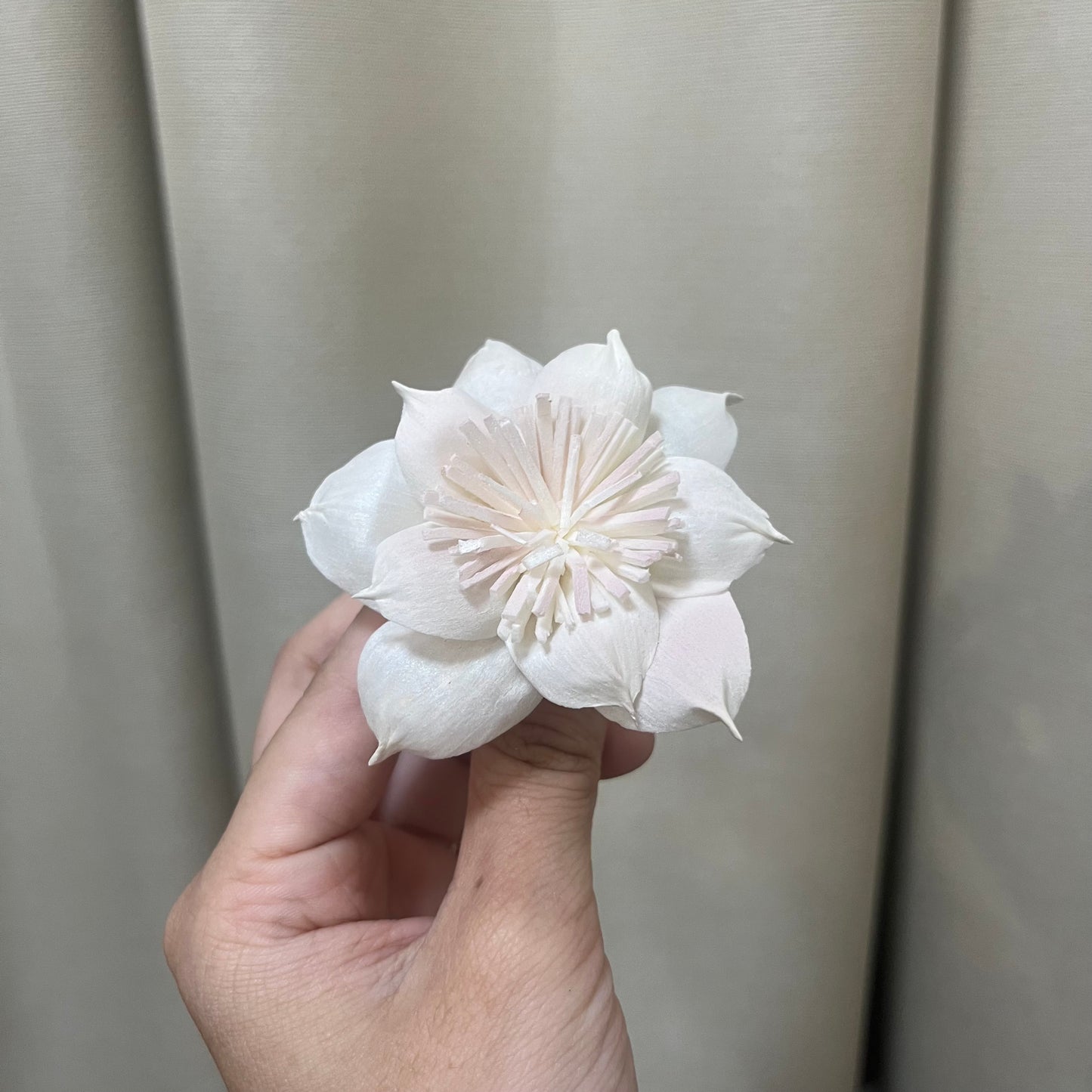 ✿ 台灣現貨 ✿ S-AC 索拉花 6CM 通草花 擴香花 水仙花