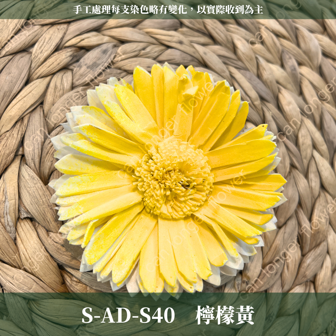 ✿ 台灣現貨 ✿ S-AD 索拉花 8CM 通草花 擴香花 向日葵 太陽花 太陽菊