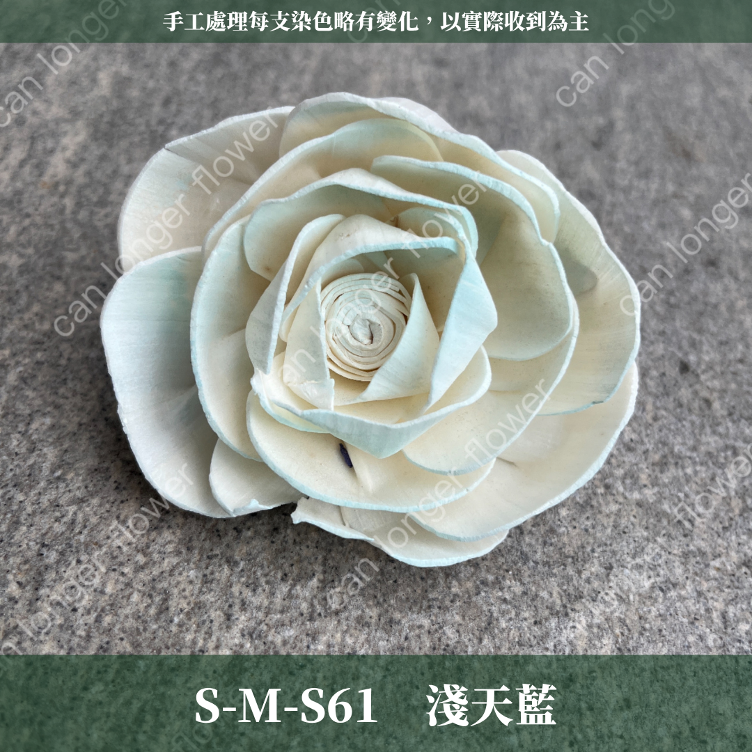 S-M 索拉花 8CM 通草花 擴香花 天使玫瑰 玫瑰 薔薇