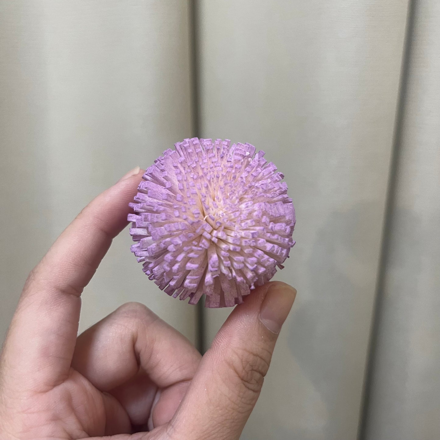 ✿ 台灣現貨 ✿ S-E 索拉花 5CM 通草花 擴香花 乒乓 乒乓球 乒乓菊 乒乓花型