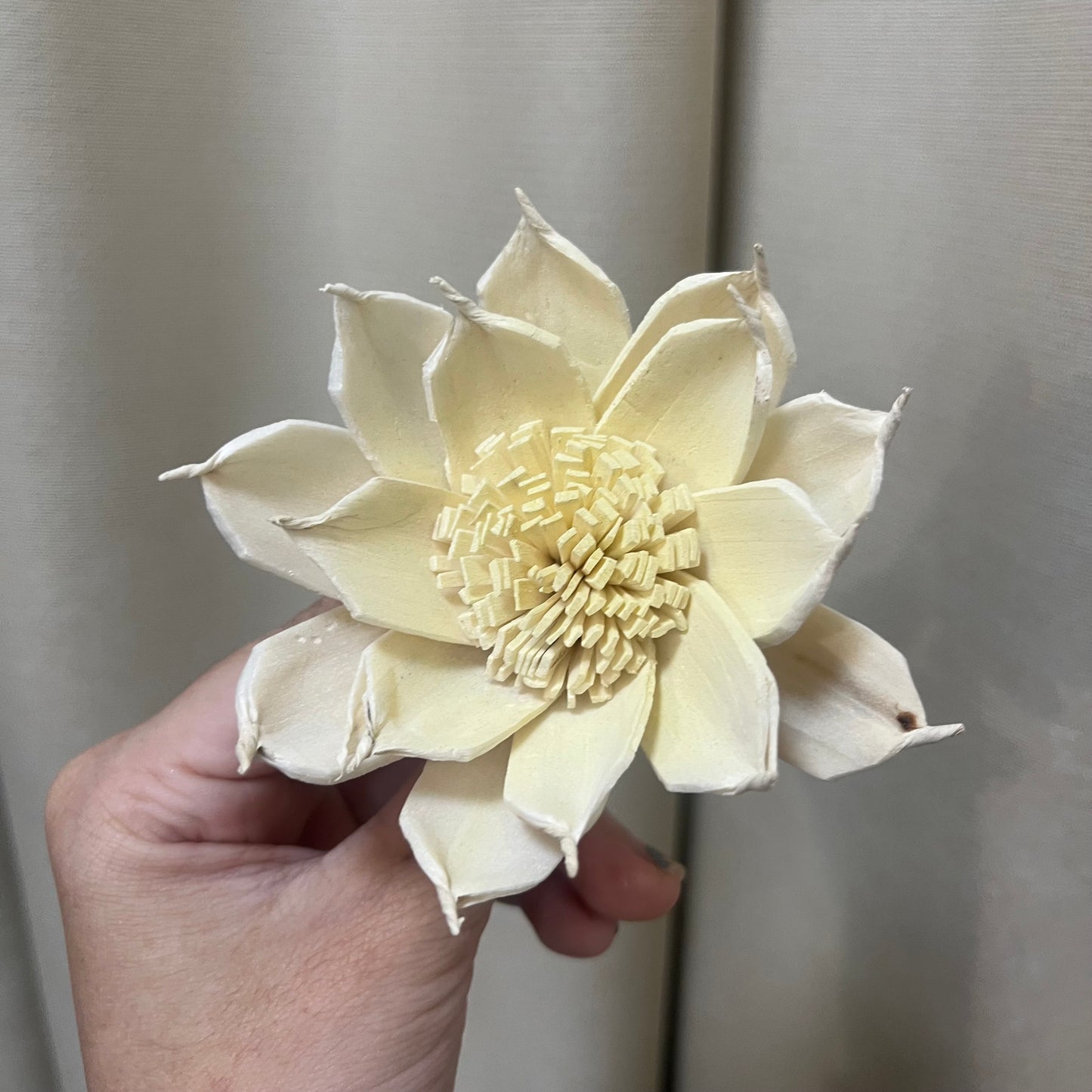 ✿ 台灣現貨 ✿ S-N索拉花 8CM 通草花 擴香花 梔子花