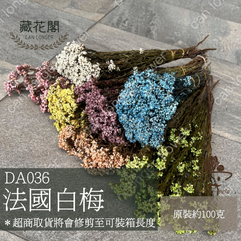 ✿ 台灣現貨 ✿ DA036 法國白梅 (約80克)