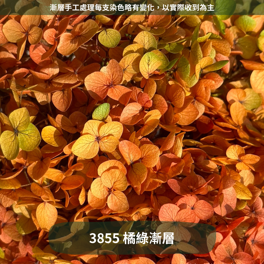 ✿ 台灣現貨 ✿ PF005 安娜繡球 單支 繡球花 繡球 紫陽花