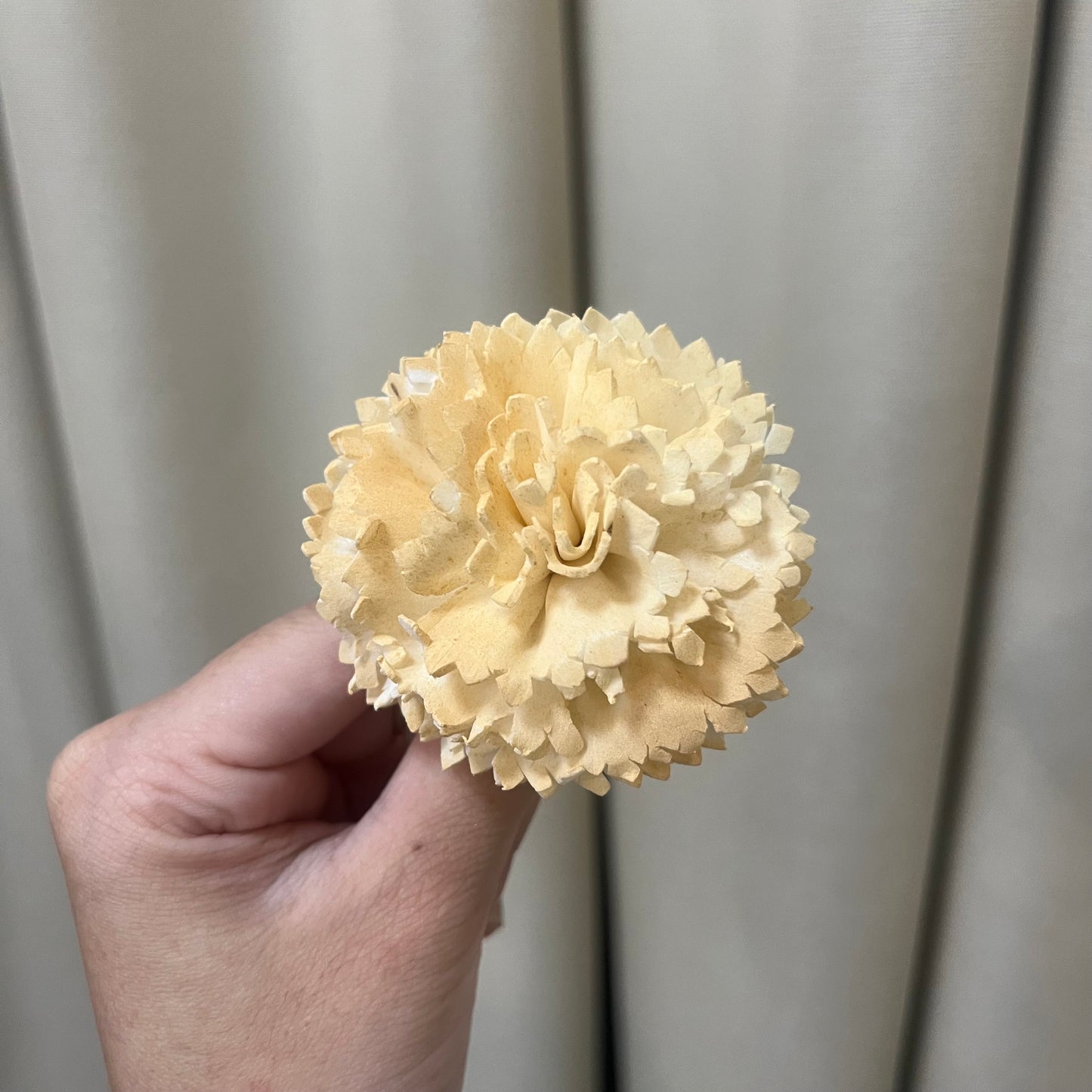 ✿ 台灣現貨 ✿ S-AF 索拉花 6CM 通草花 擴香花 康乃馨 小菊