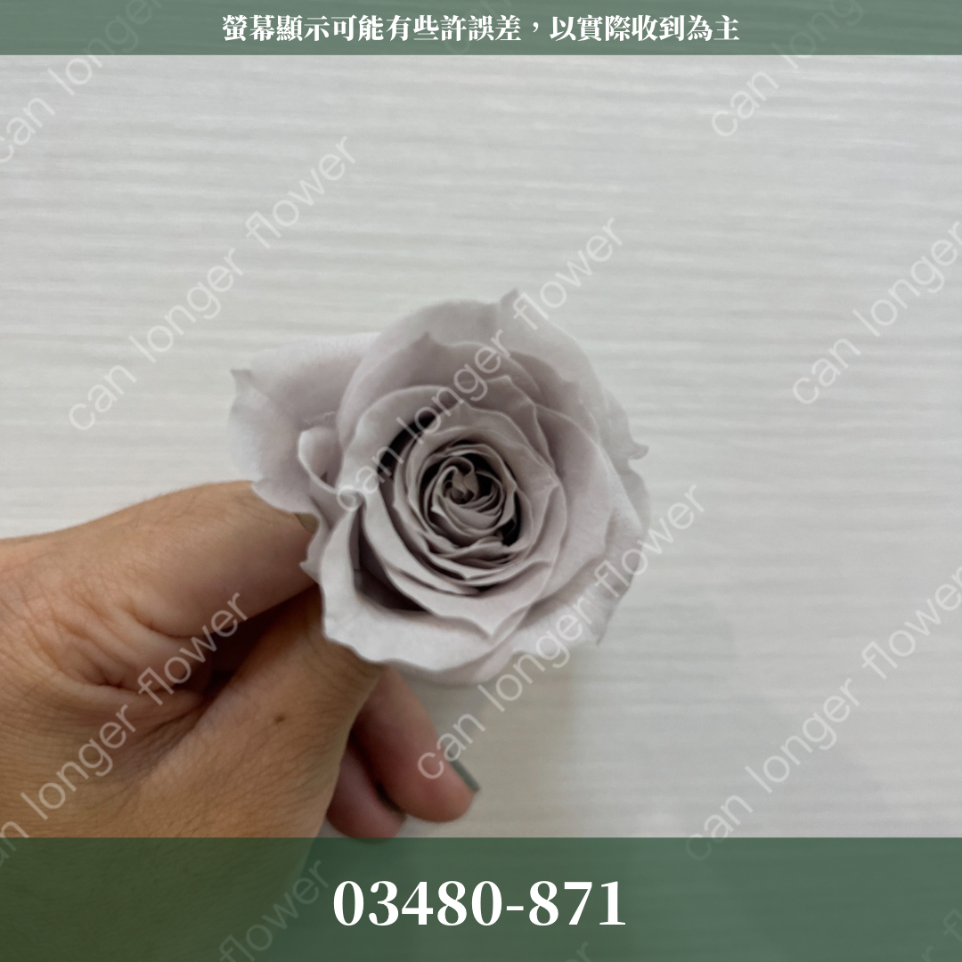 【台灣現貨】花大伯 03480 日本大地農園 中玫瑰 9朵裝 原裝 款式色彩齊全 永生玫瑰 不凋玫瑰
