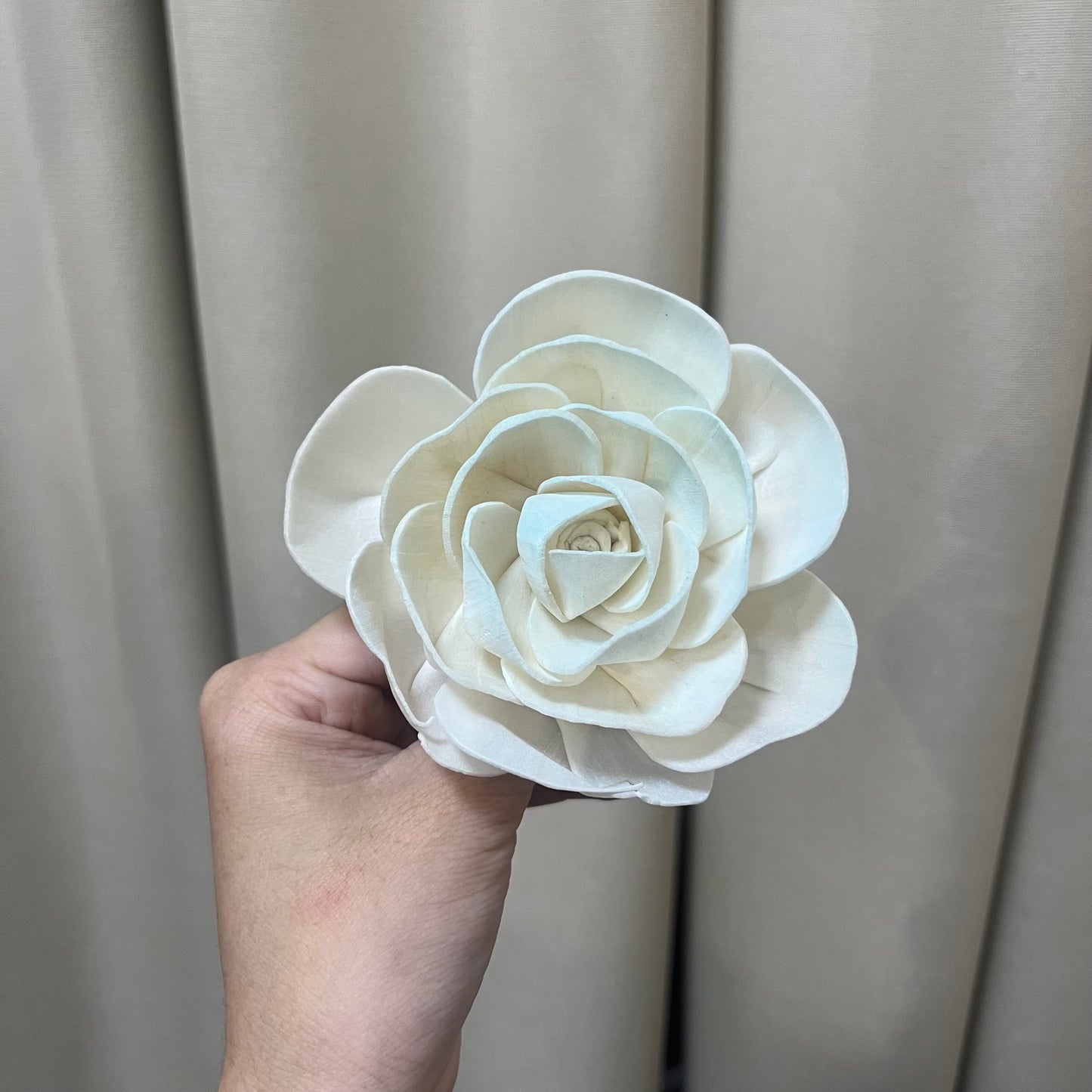 ✿ 台灣現貨 ✿ S-M索拉花 8CM 通草花 擴香花 天使玫瑰 玫瑰 薔薇