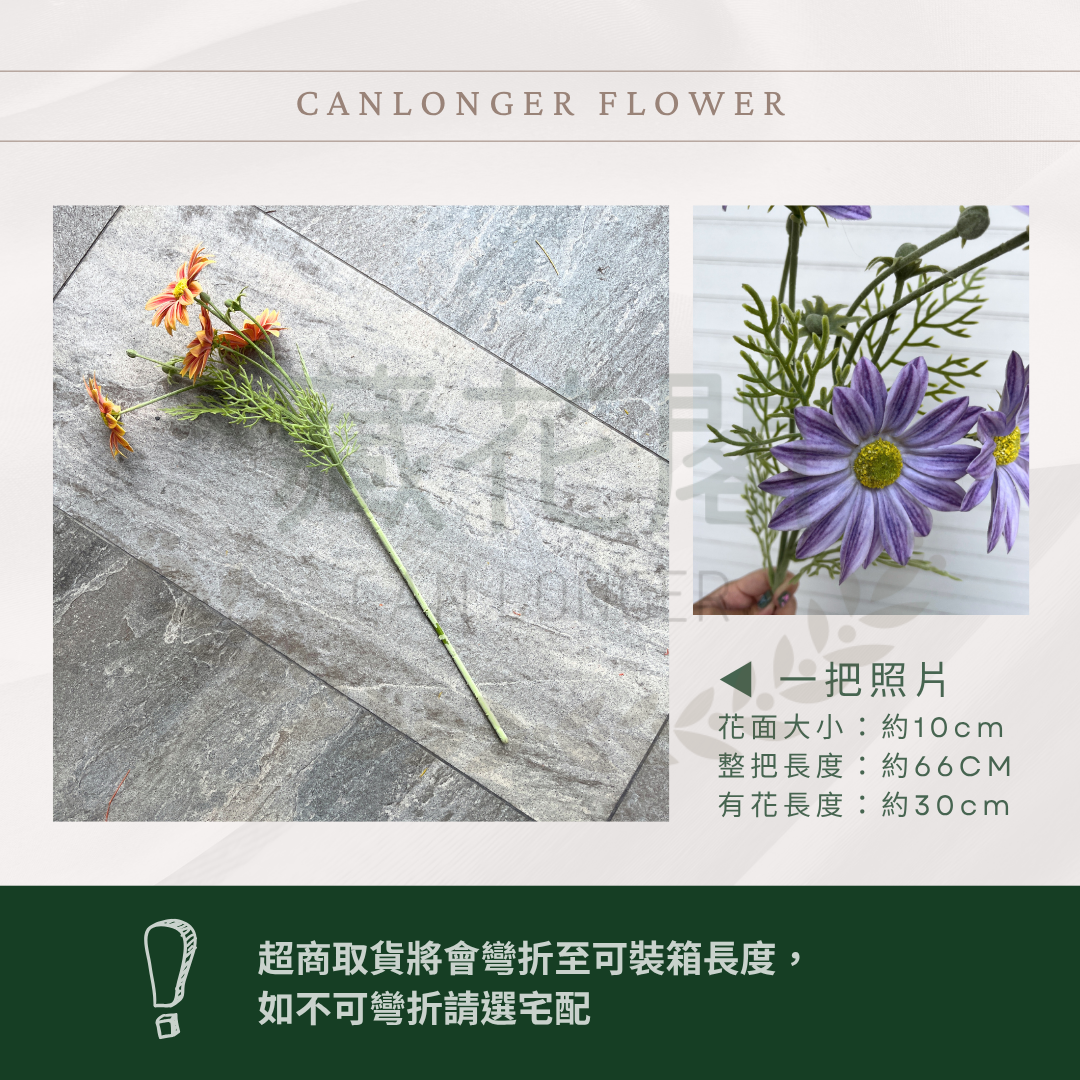 AF023 仿真夏菊(4頭) 仿真花