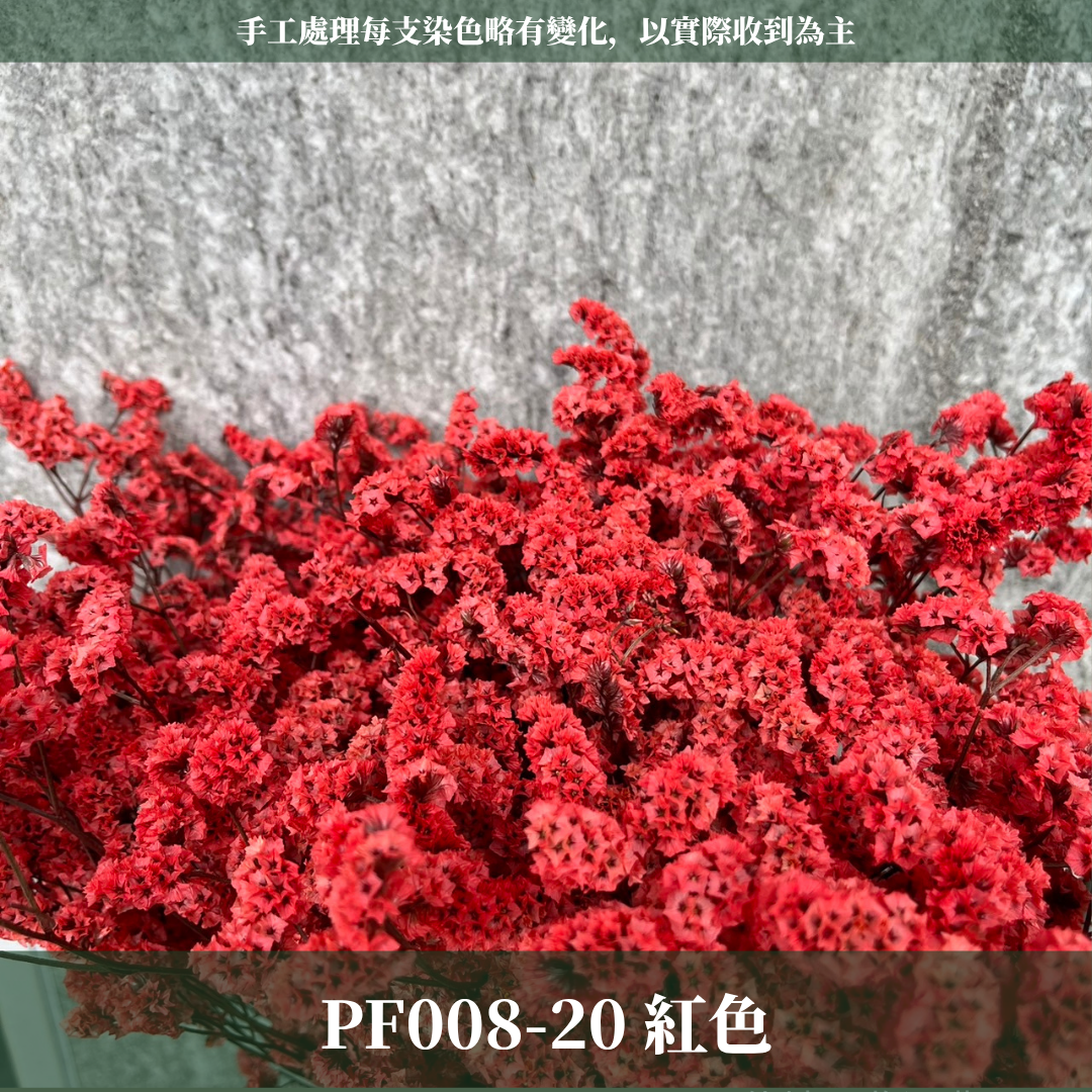 PF008水晶花 原裝 台灣現貨