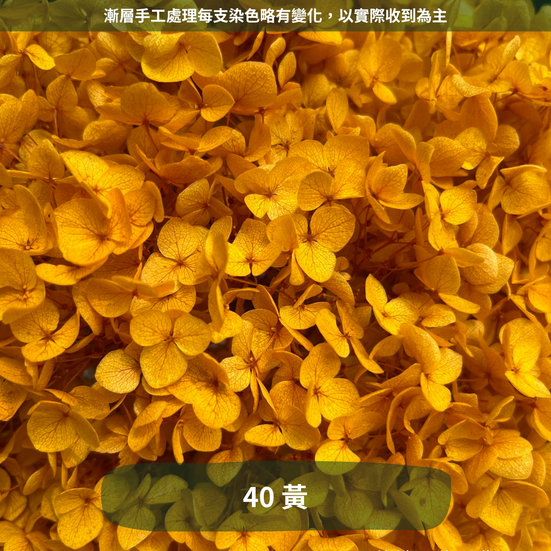 ✿ 台灣現貨 ✿ PF005 安娜繡球 單支 繡球花 繡球 紫陽花