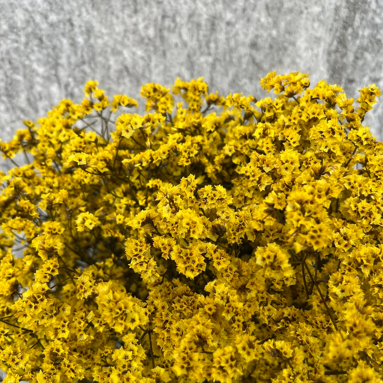 ✿ 台灣現貨 ✿ PF008水晶花 原裝