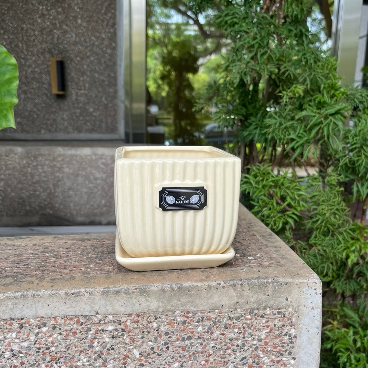 CP034小方形瓷器B款(帶盆)