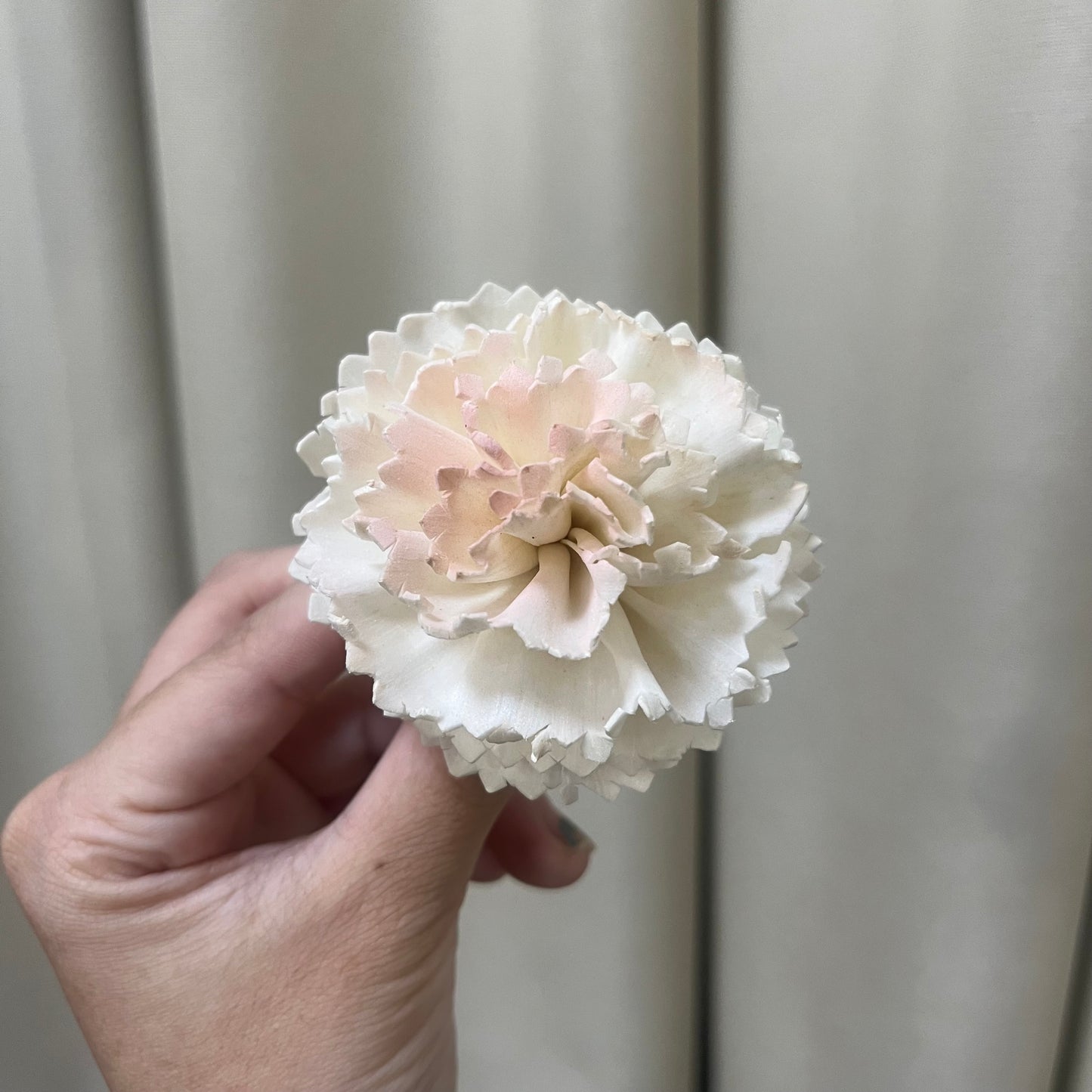 ✿ 台灣現貨 ✿ S-AF 索拉花 6CM 通草花 擴香花 康乃馨 小菊
