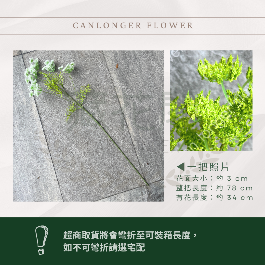 AF016 仿真蕾絲(5分支) 仿真花