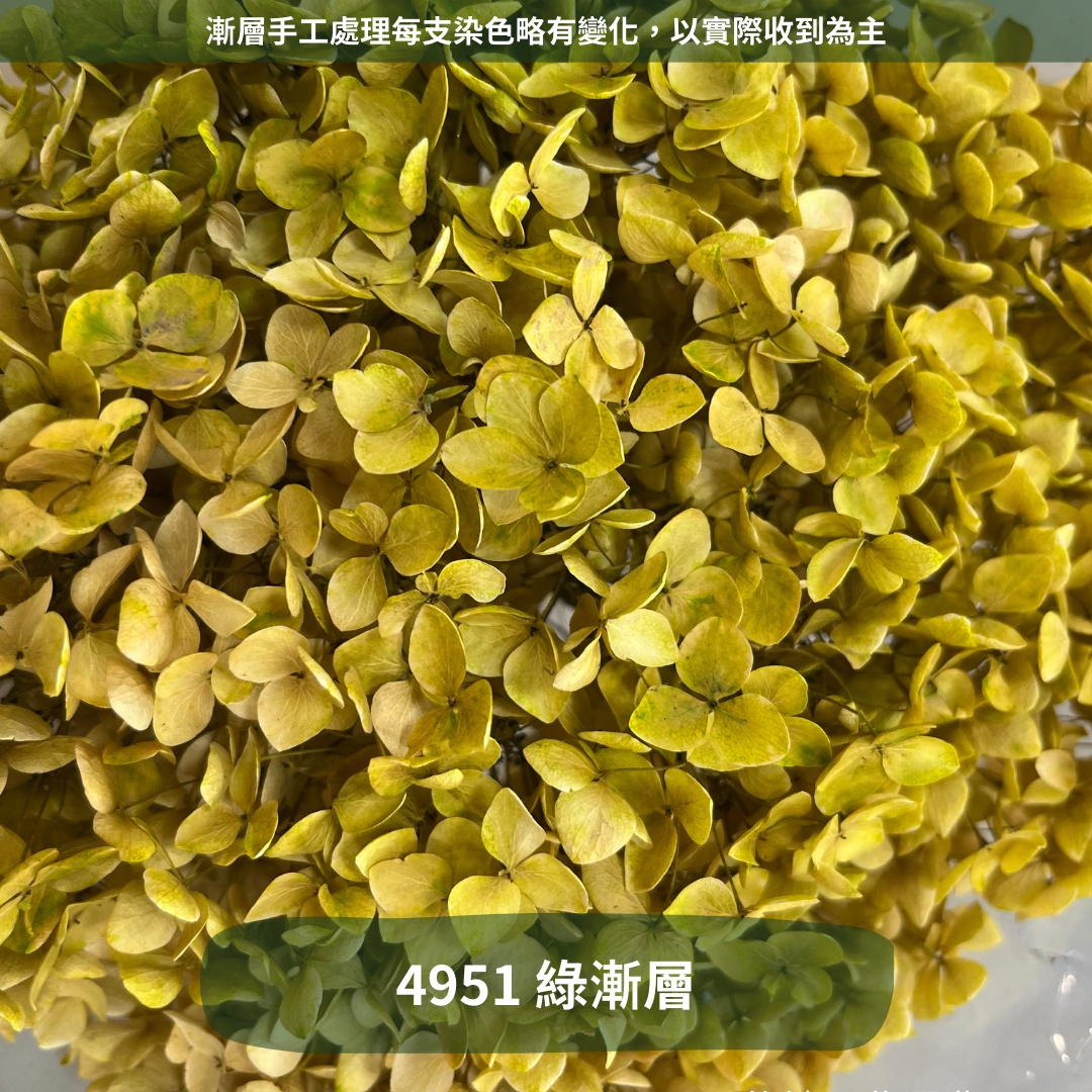 ✿ 台灣現貨 ✿ PF005 安娜繡球 單支 繡球花 繡球 紫陽花