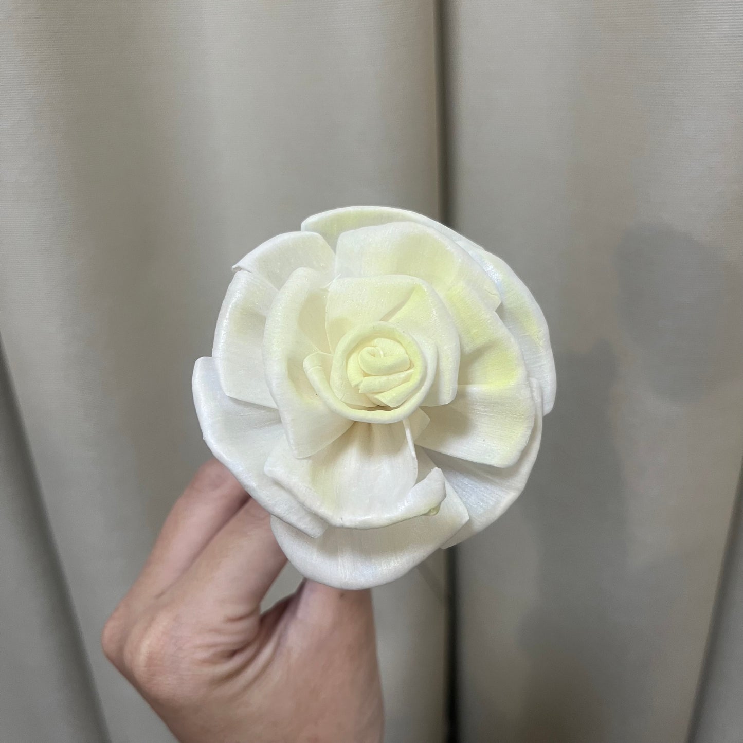 ✿ 台灣現貨 ✿ S-S 索拉花 6CM 通草花 擴香花 情人玫瑰 捲邊玫瑰