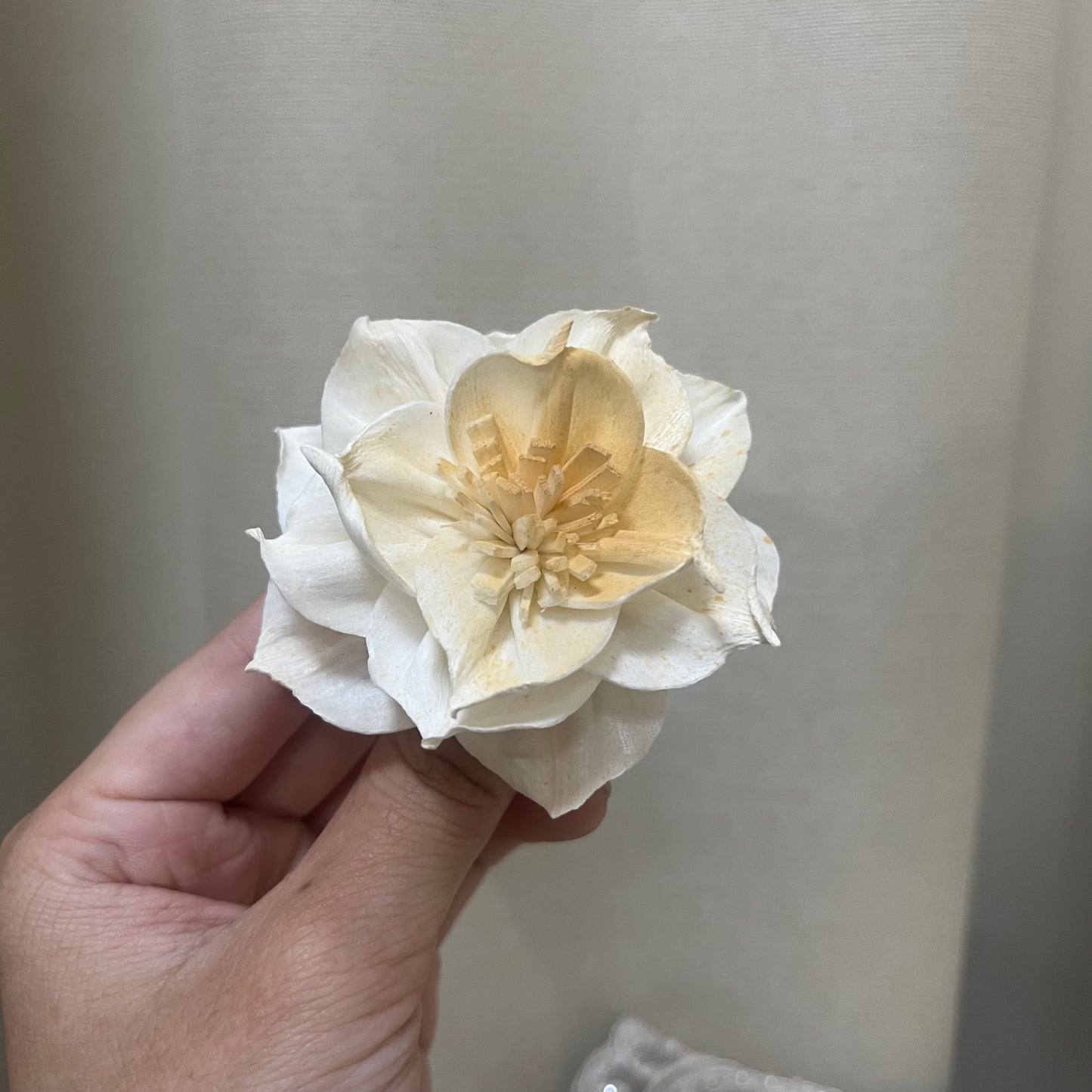 ✿ 台灣現貨 ✿ S-U 索拉花 6CM 通草花 擴香花