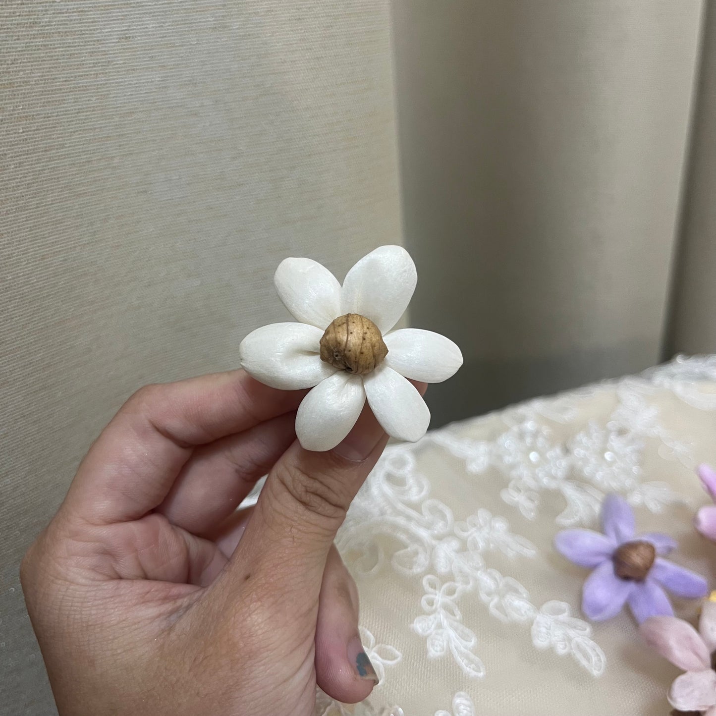 ✿ 台灣現貨 ✿ S-W 索拉花 4CM 通草花 擴香花 小雛菊