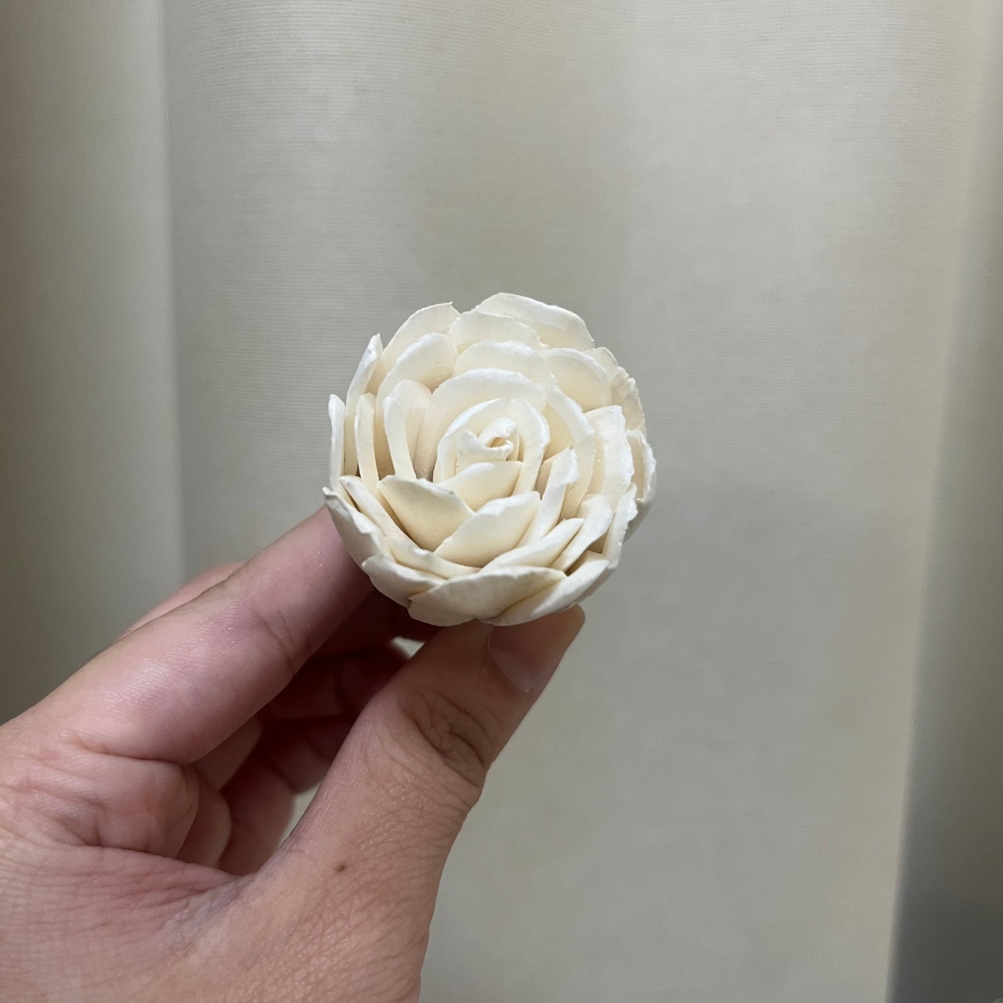✿ 台灣現貨 ✿ S-X 索拉花 4CM 通草花 擴香花 鬱金香