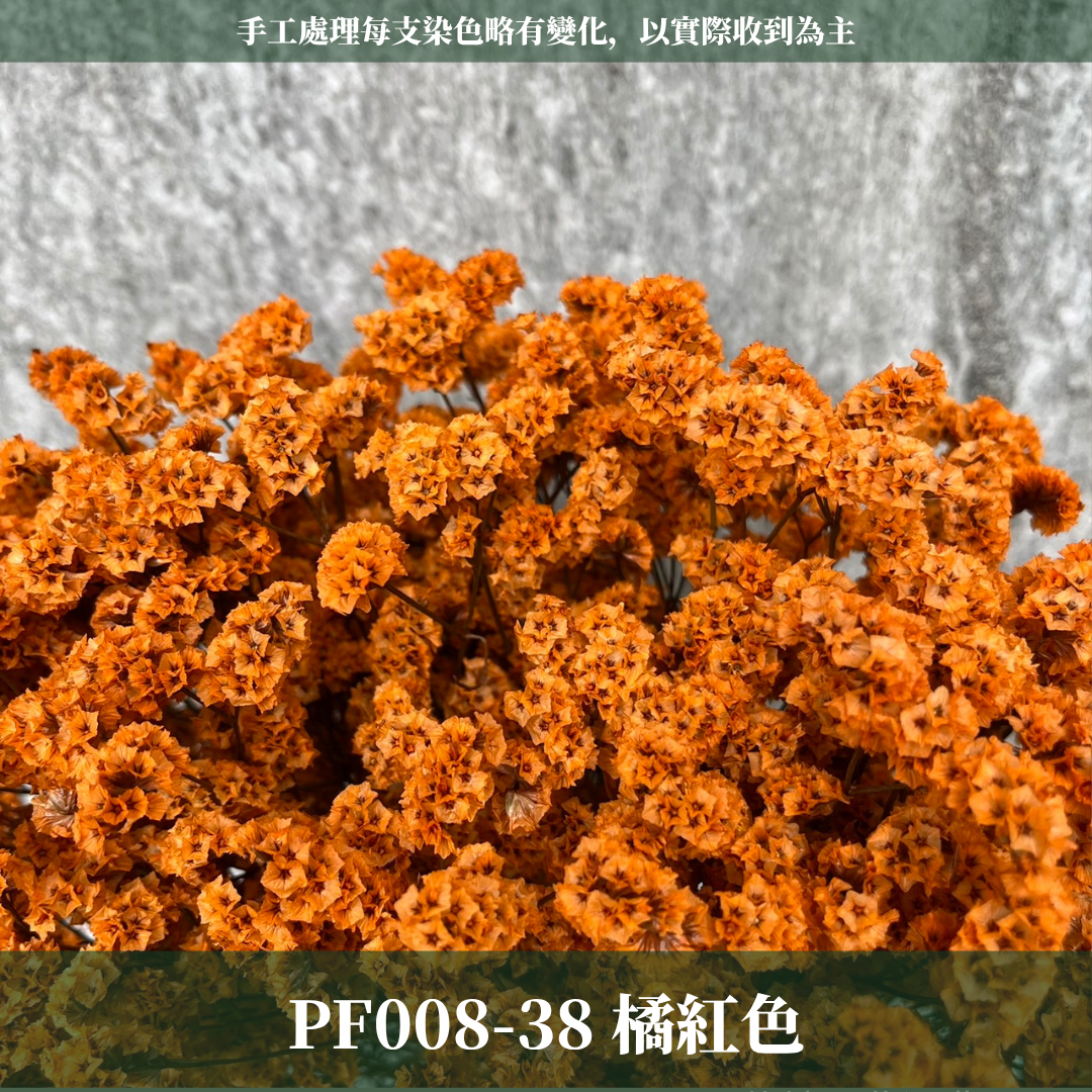PF008水晶花 原裝 台灣現貨