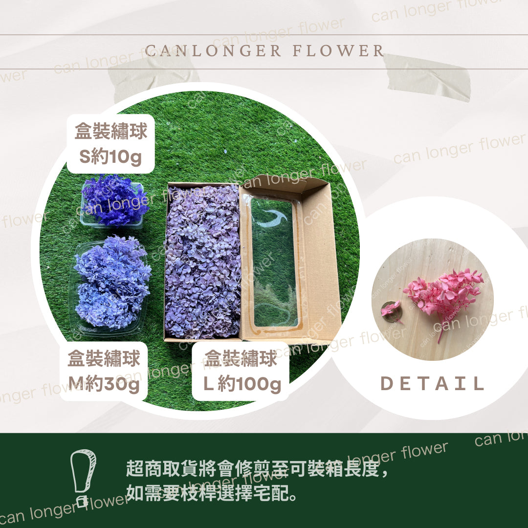 ✿ 台灣現貨 ✿ PF005-S 安娜繡球(約10克)盒裝 繡球 紫陽花