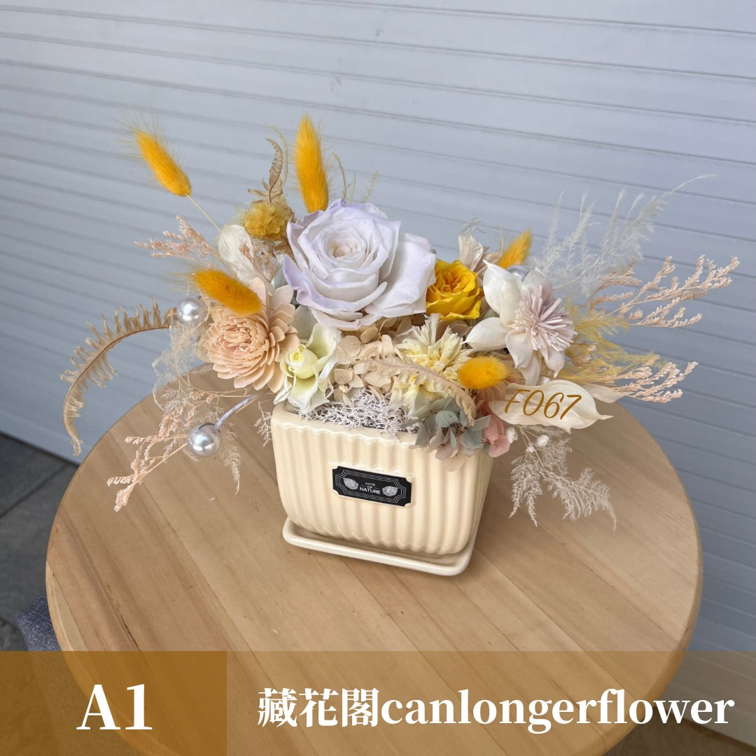 Gift-F067 黃色系陶瓷方形盆花 黃色 方形 盆花 開幕 送禮 慶賀