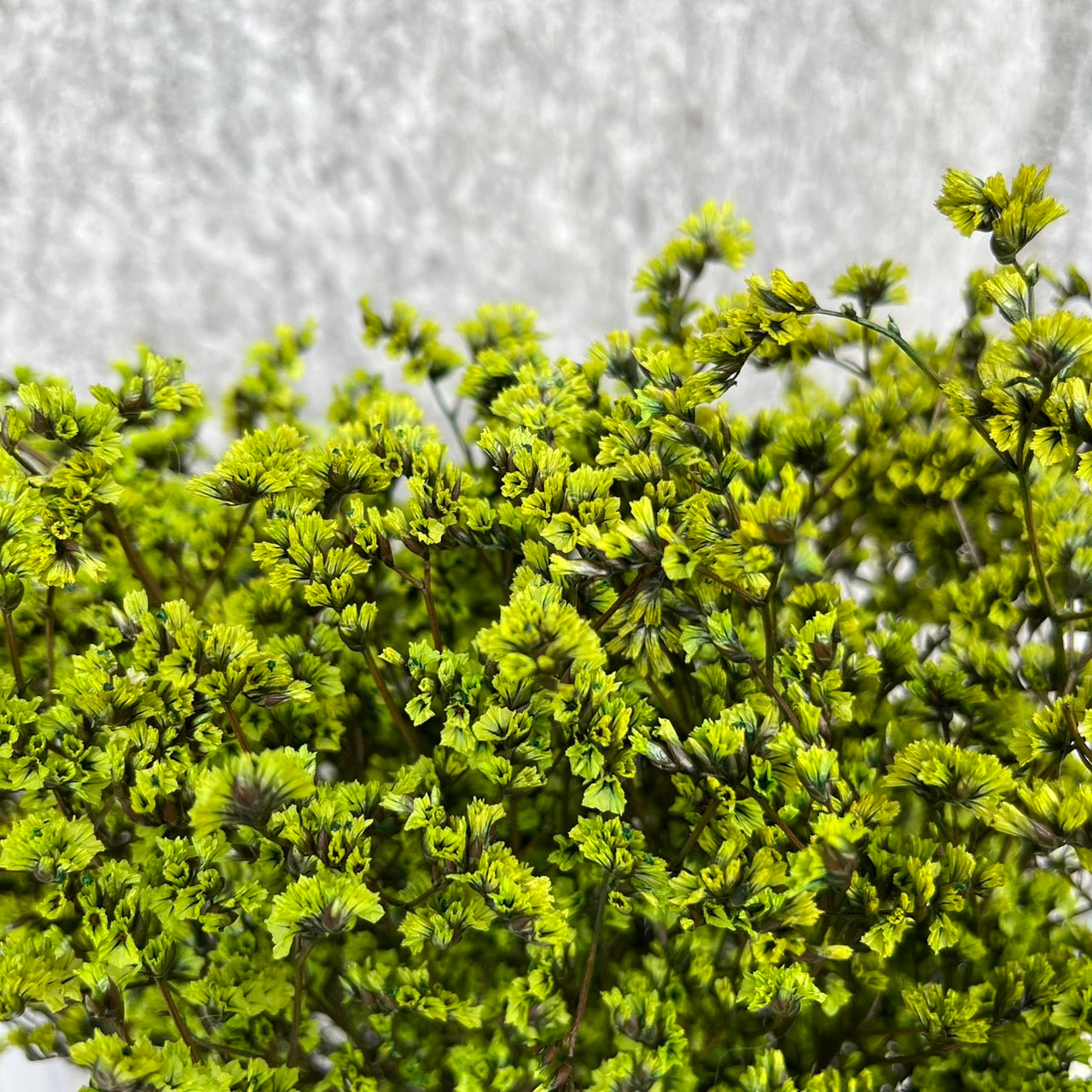 ✿ 台灣現貨 ✿ PF008水晶花 原裝