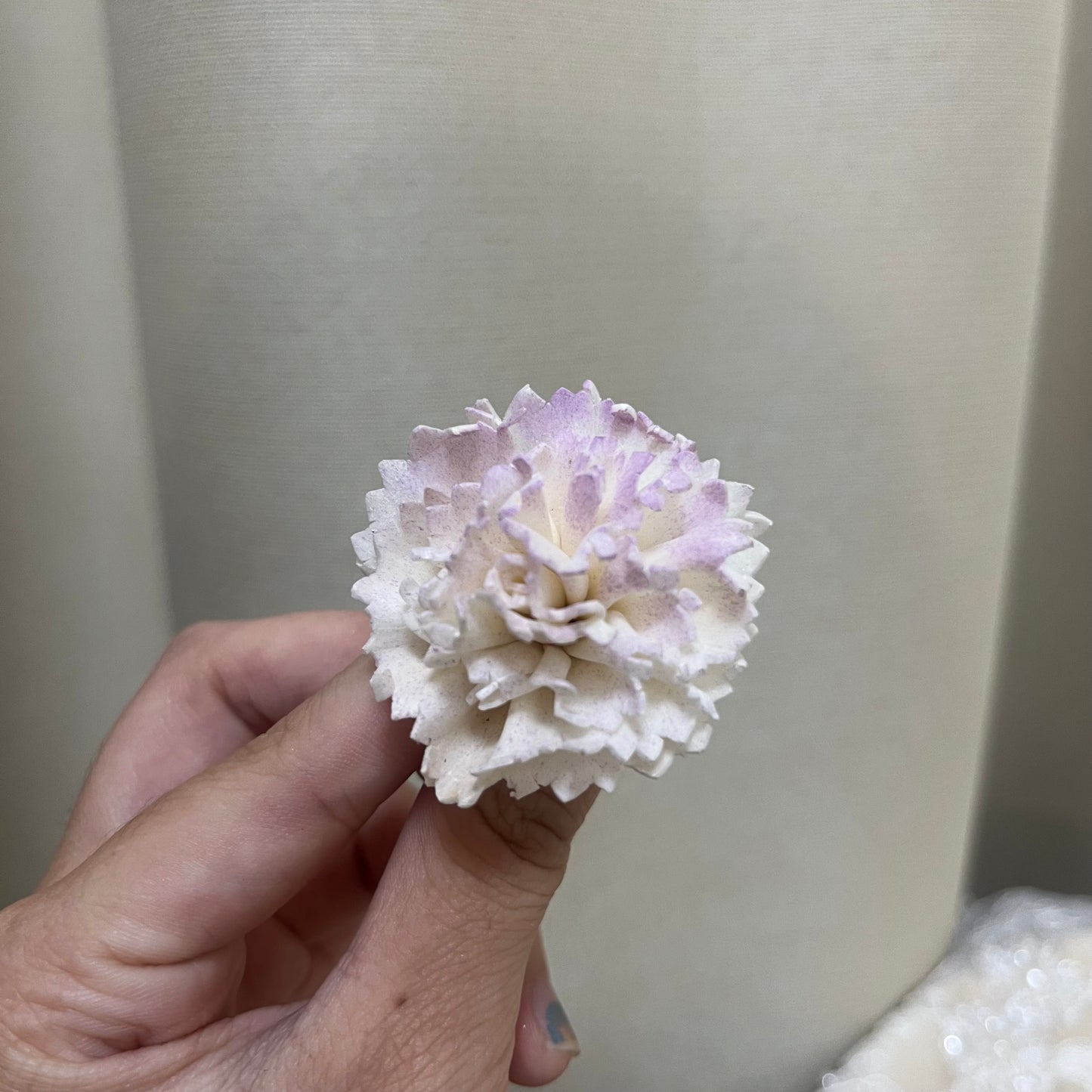 ✿ 台灣現貨 ✿ S-AE 索拉花 4CM 通草花 擴香花 康乃馨 小菊