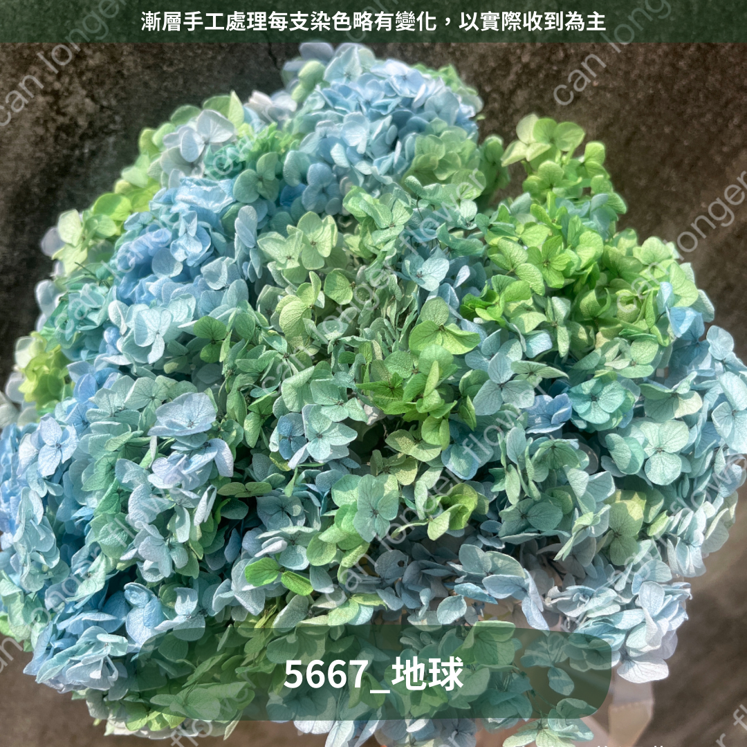 ✿ 台灣現貨 ✿ PF005 安娜繡球 單支 繡球花 繡球 紫陽花