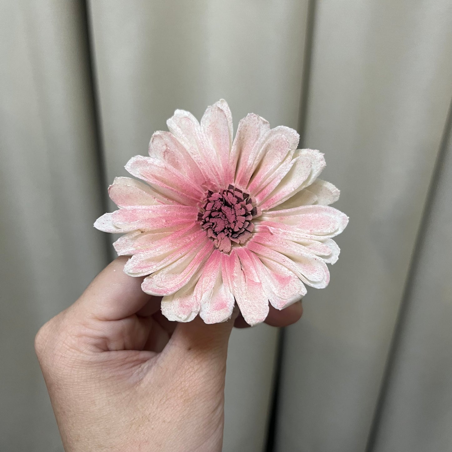 ✿ 台灣現貨 ✿ S-I 索拉花 6CM 通草花 擴香花 太陽菊 非洲太陽