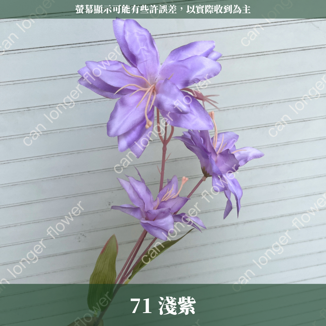 AF012 仿真小百合 3頭