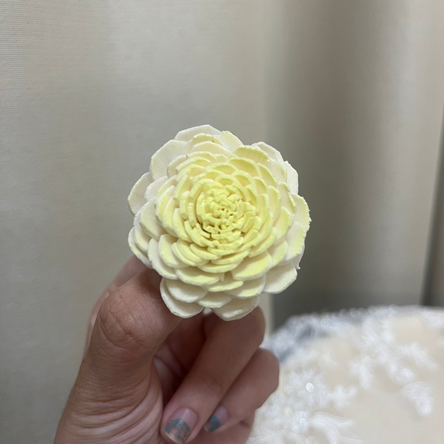 ✿ 台灣現貨 ✿ S-b 索拉花 4CM 通草花 擴香花 太陽玫瑰 日本大地 太陽菊