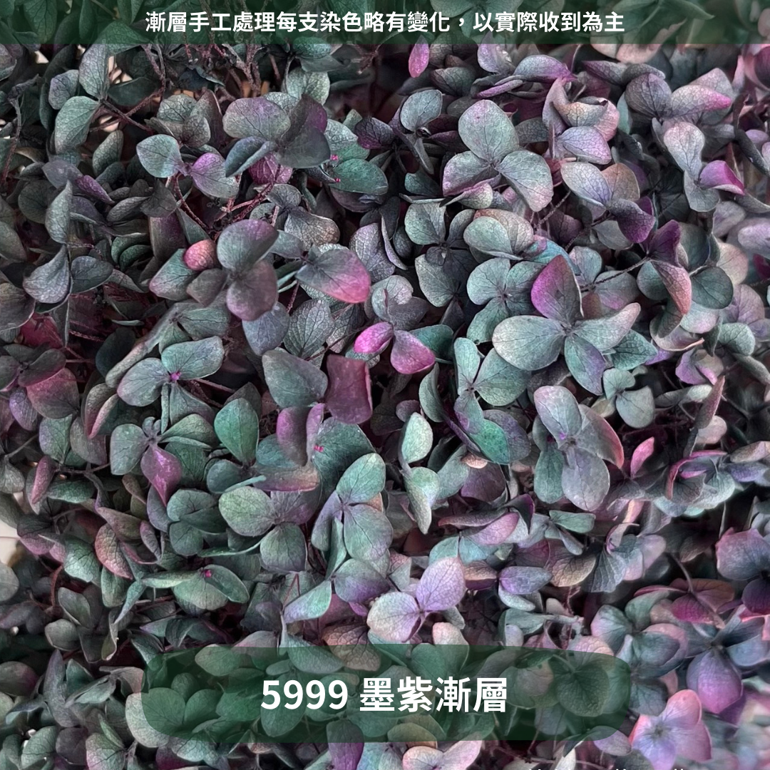 ✿ 台灣現貨 ✿ PF005 安娜繡球 單支 繡球花 繡球 紫陽花