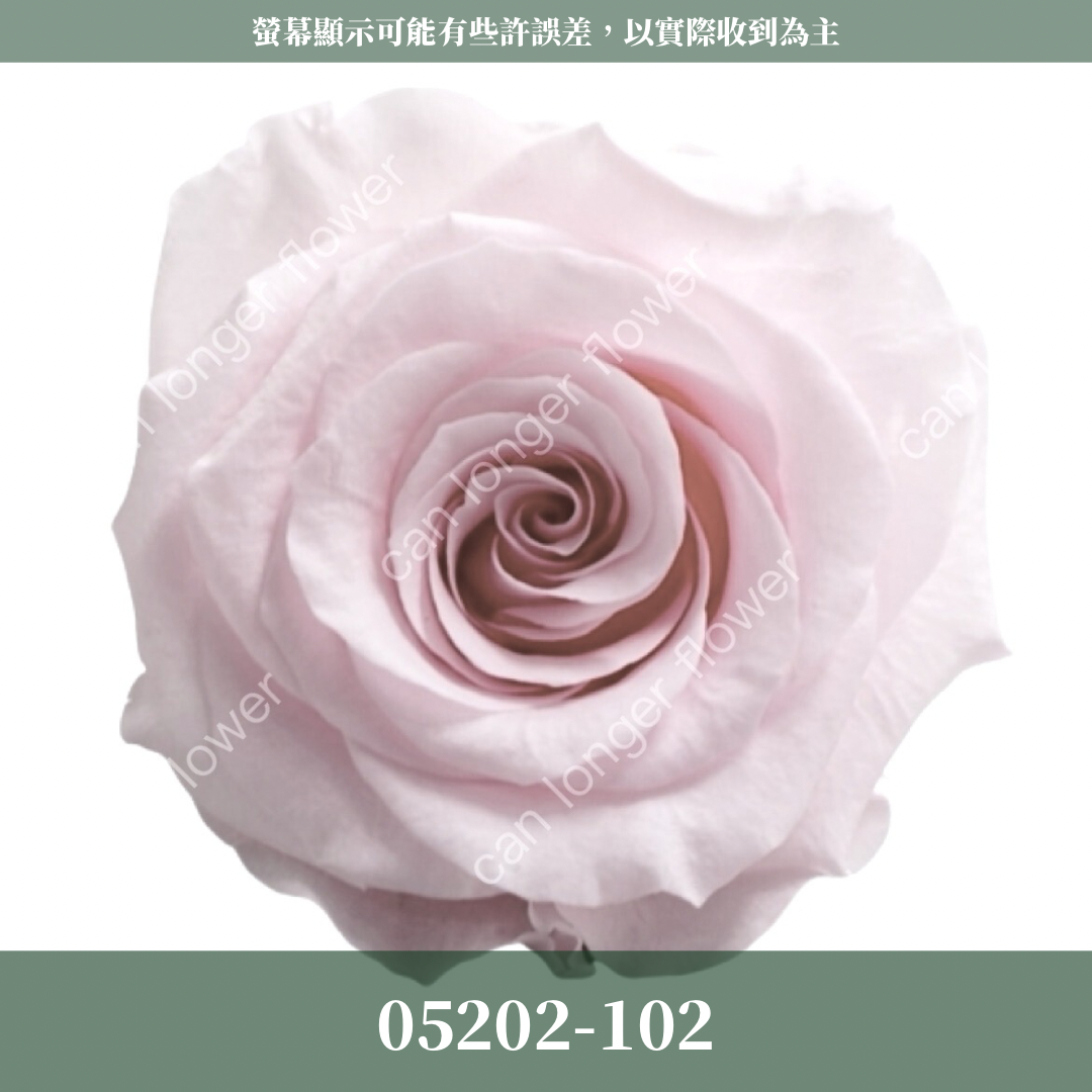 【台灣現貨】花大伯 05202 日本大地農園 大玫瑰 9朵裝 原裝 款式色彩齊全 永生玫瑰 不凋玫瑰