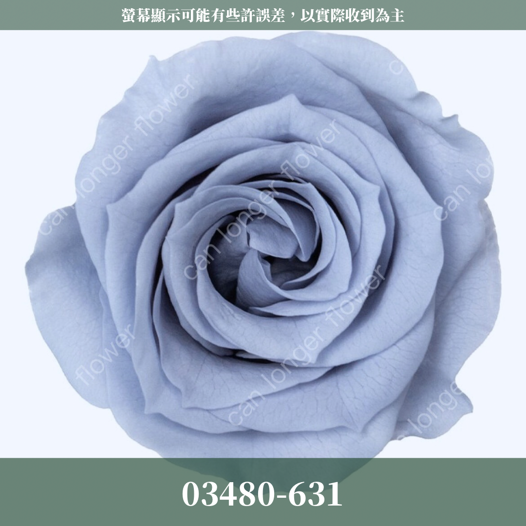 【台灣現貨】花大伯 03480 日本大地農園 中玫瑰 9朵裝 原裝 款式色彩齊全 永生玫瑰 不凋玫瑰